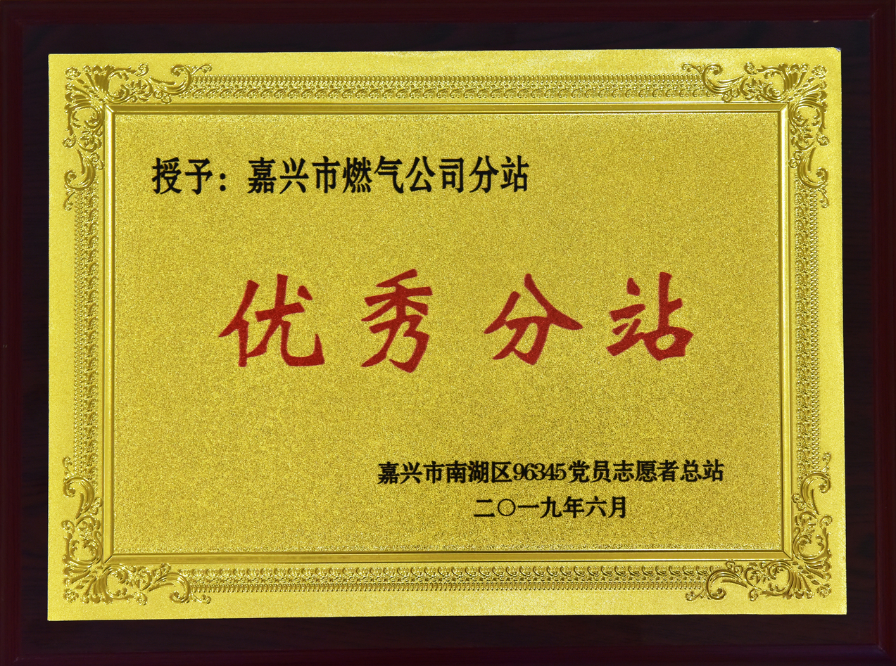 2019年6月，被嘉興市南湖區(qū)96345黨員志愿者總站授予”優(yōu)秀分站“榮譽(yù)稱號(hào)。.JPG