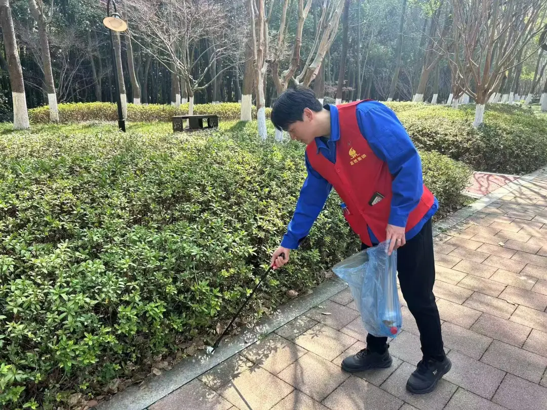 圖片29.png 圖片29.png
